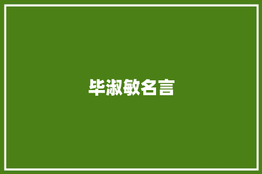 毕淑敏名言
