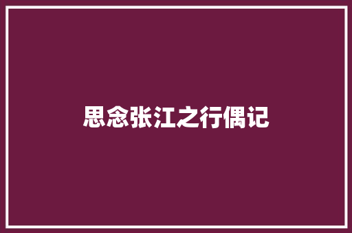 思念张江之行偶记