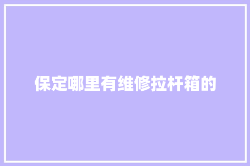 保定哪里有维修拉杆箱的