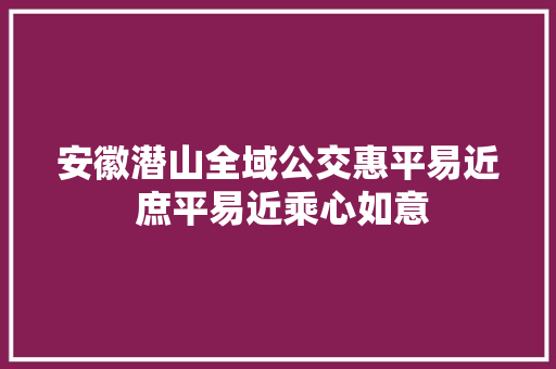 安徽潜山全域公交惠平易近 庶平易近乘心如意
