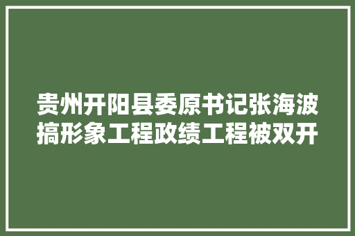 贵州开阳县委原书记张海波搞形象工程政绩工程被双开