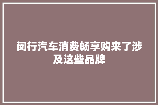 闵行汽车消费畅享购来了涉及这些品牌