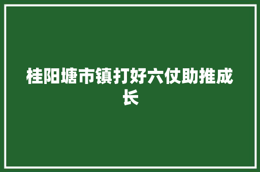 桂阳塘市镇打好六仗助推成长