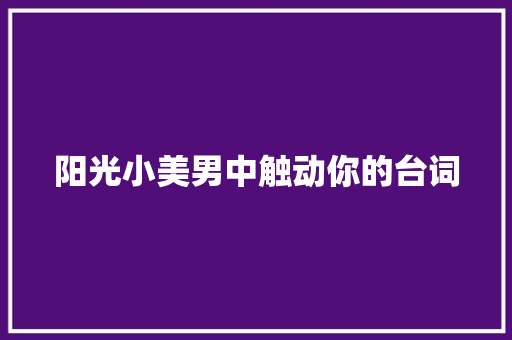 阳光小美男中触动你的台词