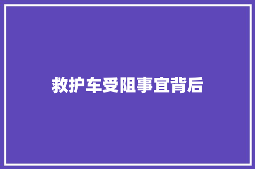 救护车受阻事宜背后