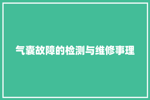 气囊故障的检测与维修事理