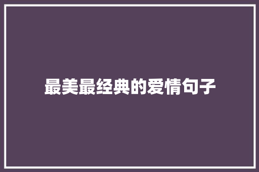 最美最经典的爱情句子