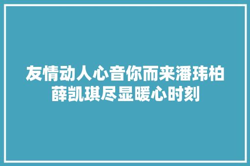 友情动人心音你而来潘玮柏薛凯琪尽显暖心时刻 休闲娱乐