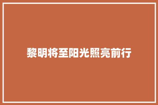 黎明将至阳光照亮前行