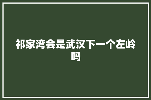 祁家湾会是武汉下一个左岭吗
