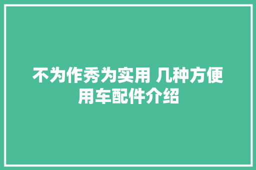 不为作秀为实用 几种方便用车配件介绍