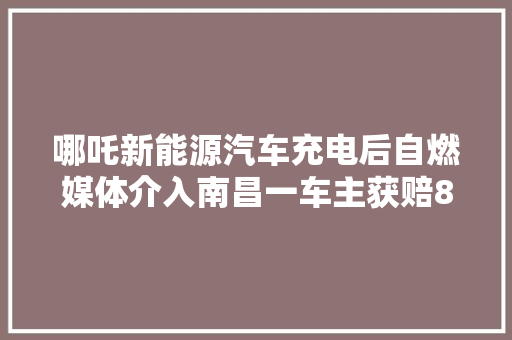 哪吒新能源汽车充电后自燃媒体介入南昌一车主获赔85万元