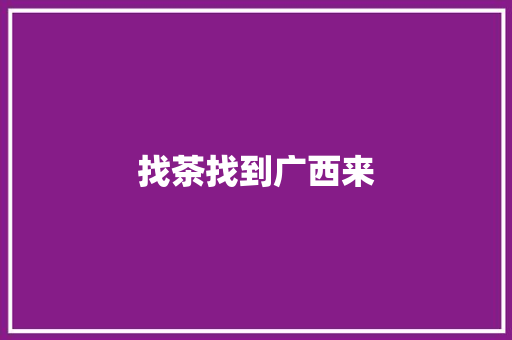 找茶找到广西来