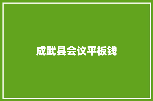 成武县会议平板钱