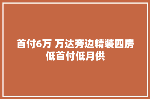 首付6万 万达旁边精装四房低首付低月供