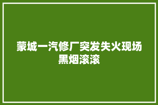 蒙城一汽修厂突发失火现场黑烟滚滚