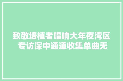 致敬培植者唱响大年夜湾区 专访深中通道收集单曲无双创作者罗高丞