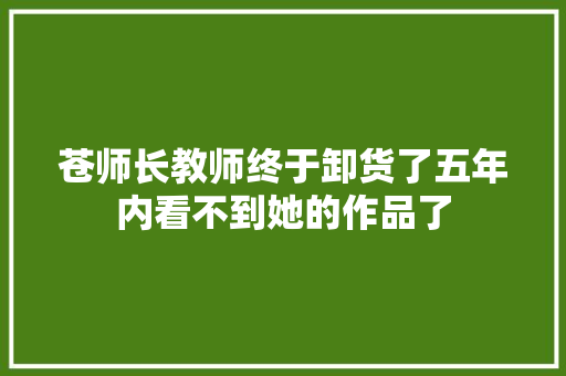 苍师长教师终于卸货了五年内看不到她的作品了