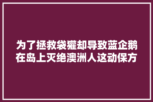 为了拯救袋獾却导致蓝企鹅在岛上灭绝澳洲人这动保方法让人看不懂