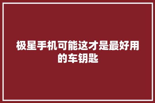 极星手机可能这才是最好用的车钥匙