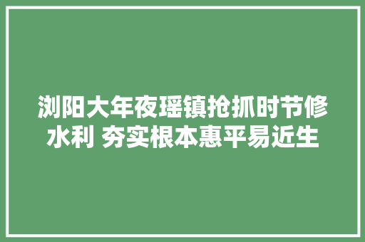 浏阳大年夜瑶镇抢抓时节修水利 夯实根本惠平易近生