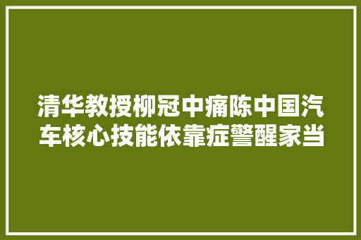 清华教授柳冠中痛陈中国汽车核心技能依靠症警醒家当自立