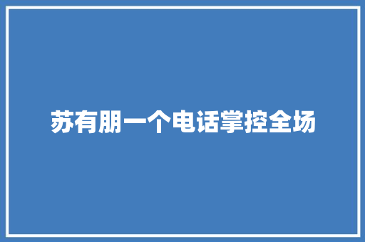 苏有朋一个电话掌控全场