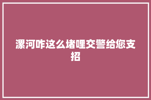 漯河咋这么堵哩交警给您支招
