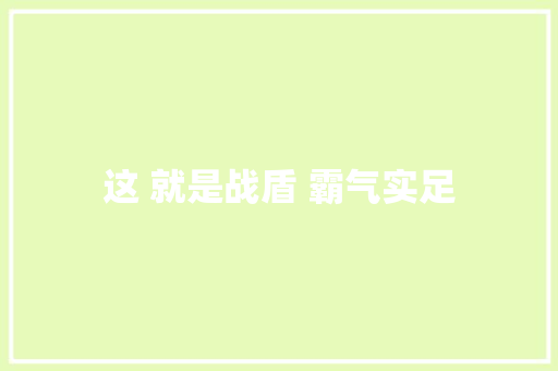 这 就是战盾 霸气实足