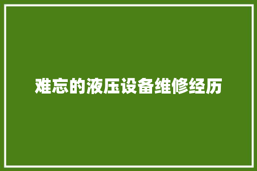 难忘的液压设备维修经历