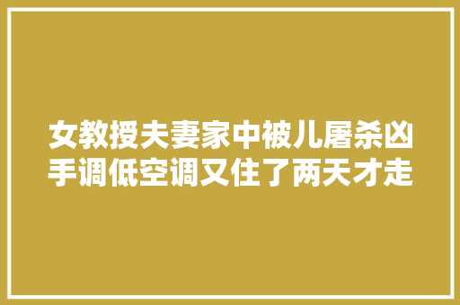女教授夫妻家中被儿屠杀凶手调低空调又住了两天才走