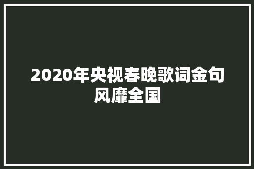 2020年央视春晚歌词金句风靡全国