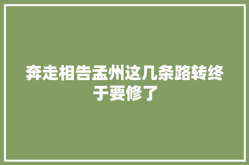 奔走相告孟州这几条路转终于要修了