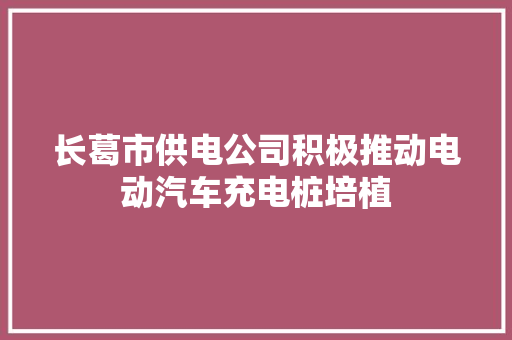 长葛市供电公司积极推动电动汽车充电桩培植
