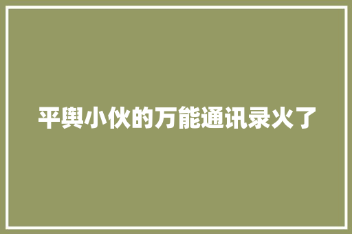 平舆小伙的万能通讯录火了