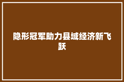 隐形冠军助力县域经济新飞跃