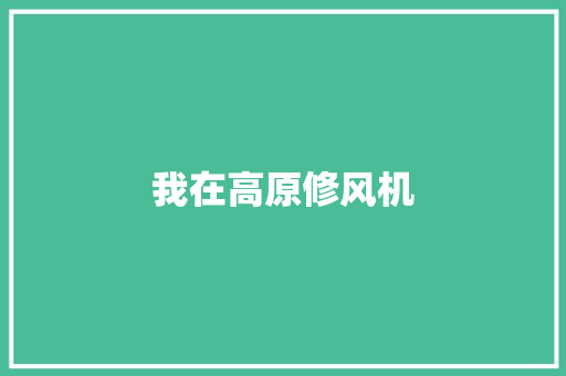 我在高原修风机