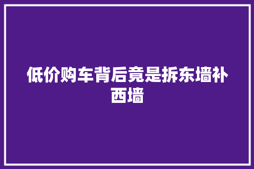低价购车背后竟是拆东墙补西墙