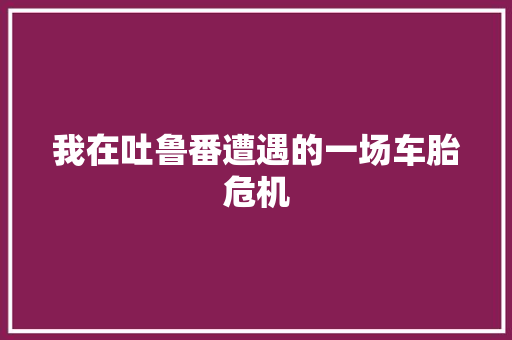我在吐鲁番遭遇的一场车胎危机 汽车知识