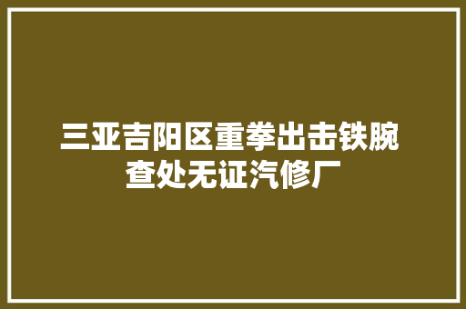 三亚吉阳区重拳出击铁腕 查处无证汽修厂
