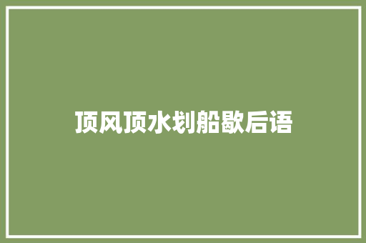 顶风顶水划船歇后语