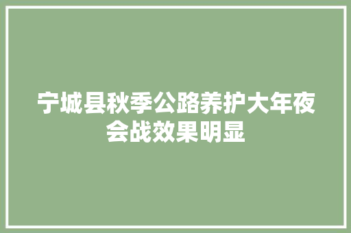 宁城县秋季公路养护大年夜会战效果明显