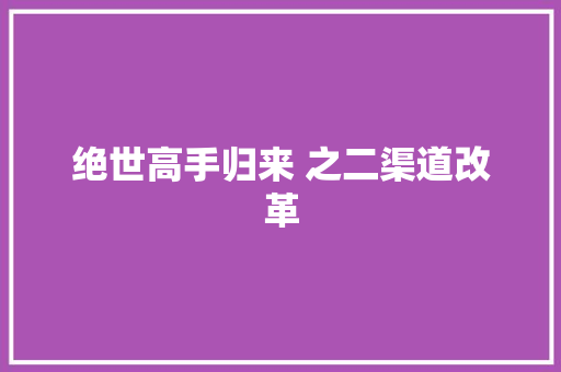 绝世高手归来 之二渠道改革
