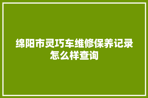 绵阳市灵巧车维修保养记录怎么样查询