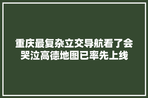 重庆最复杂立交导航看了会哭泣高德地图已率先上线