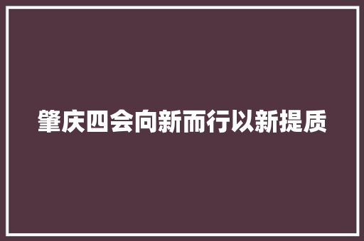 肇庆四会向新而行以新提质