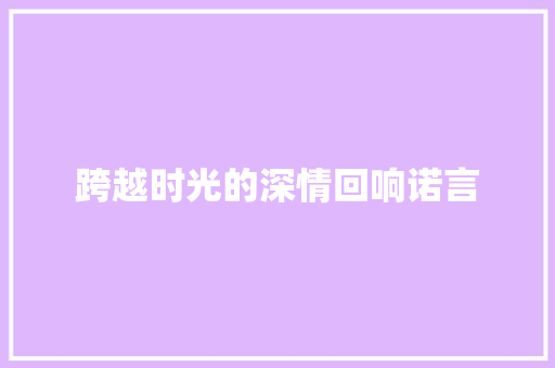 跨越时光的深情回响诺言