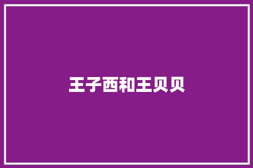 王子西和王贝贝