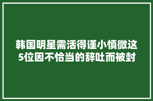 韩国明星需活得谨小慎微这5位因不恰当的辞吐而被封杀