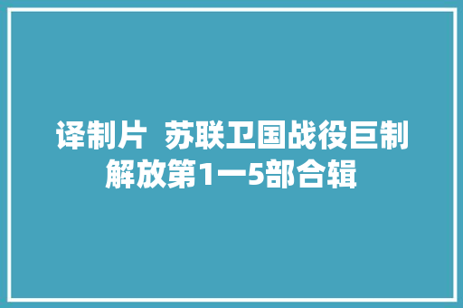 译制片  苏联卫国战役巨制解放第1一5部合辑